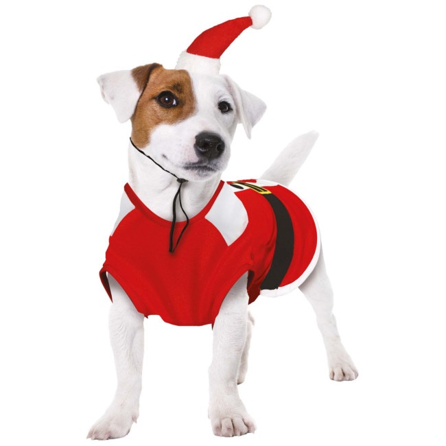 Foto lateral/trasera del modelo de Costume Babbo Natale per cane