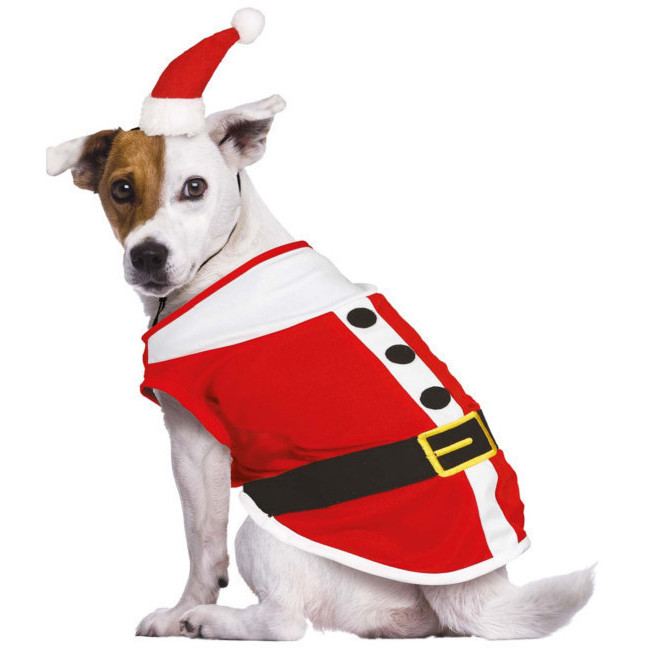Vista delantera del costume Babbo Natale per cane en stock