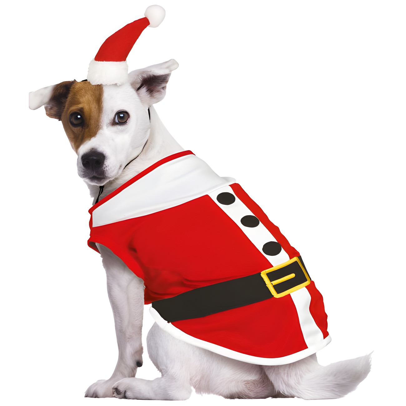 Orecchini Pendenti Cane Pomerania Natale – Acrilico Con Cappello Babbo Natale E Papillon, Regalo Per Amanti Cani