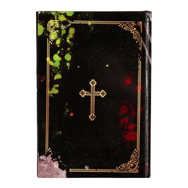 Rito Degli Esorcismi E Preghiere Per Circostanze Particolari Libro degli esorcismi 22 x 15 cm per 4,75