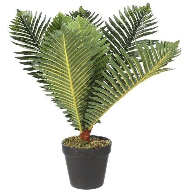 Pianta artificiale di palma tropicale con vaso nero da 50 cm per 26,75 €