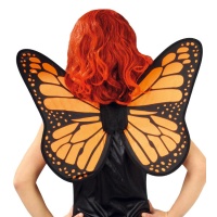 Ali farfalla arancioni e nere - 49 x 50 cm