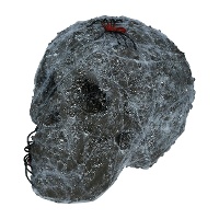 Teschio con ragnatele e ragni, 20 cm