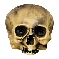 Teschio decorativo in plastica da 15 cm