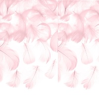 Piume decorative - 3 g