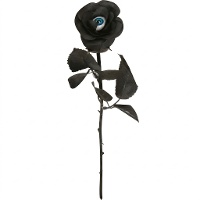 Rosa nera con occhio di 42 cm