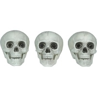 Teschi decorativi classici - set da 3
