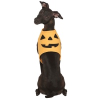 Costume zucca per cane