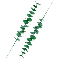 Rametti di foglie di eucalipto - 2 pz.