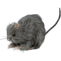 15 cm di ratto grigio peloso