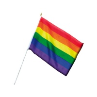 Bandiera con asta arcobaleno 50 x 30 cm