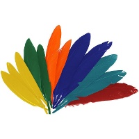 Piume naturali colorate di 2,5 x 14 cm - 60 unità