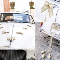 Kit decorazioni auto nuziale Natural Wedding