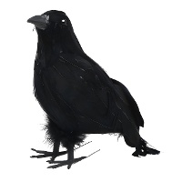 Corvo nero di 20 x 10 cm