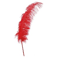 Piume di struzzo di 50 cm - 12 unità