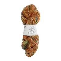 Calza filato 100 gr - Casasol
