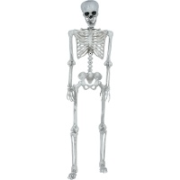 Scheletro decorativo articolato da 1,45 m