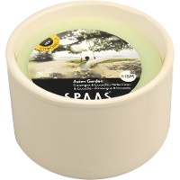 Candela di 9,8 cm al citronella bianco in terracotta - 1 unità