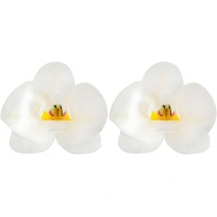 Cialde floreali a forma di orchidea 8,5 x 7,5 cm - Dekora - 10 pezzi