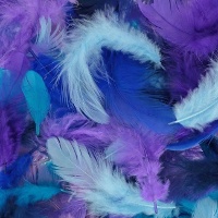 Piume decorative di colori assortiti da 10 gr