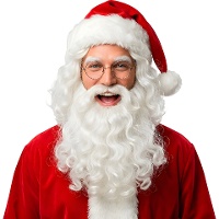Parrucca e barba di Babbo Natale da 250 gr