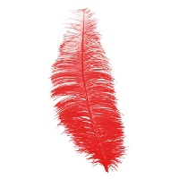 Piume di Charleston di 30 cm - 12 unità