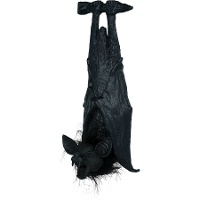 Pipistrello appeso di 50 cm