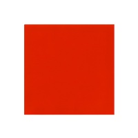 Tovaglioli 9,5 x 9,5 cm - 100 pezzi