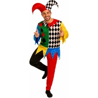 Costume da Arlecchino colorato