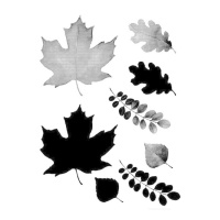 Timbri acrilici foglie d'autunno 9 x 14 cm - Artemio