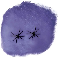 Ragnatela di 20 gr di colori con ragni