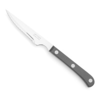 Coltello da bistecca Basic 11,5 cm nero perlato con lama in poliossimetilene - Arcos