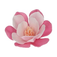 Wafer di fiori di Magnolia di diverse dimensioni - FunCakes - 6 pezzi