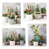 Tela con cactus in vaso 40 x 50 cm - DCasa - 1 unità