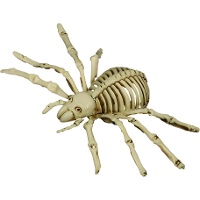 Ragno scheletrico di 24 cm