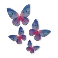 Cialde a forma di farfalla colorate di 3 a 6 cm - Dekora - 79 pezzi