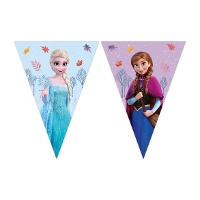 Bandierina Frozen blu con Elsa e Anna