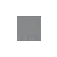 Tovaglioli di carta metallizzata 12,5 x 12,5 cm - 20 pezzi
