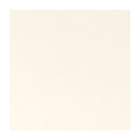 Foglio imitazione pelle 30 x 30 x 0,12 cm - 1 unità