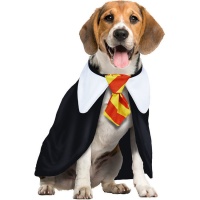 Costume da studente di magia per cani