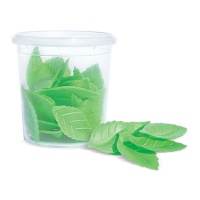 Cialde foglie verdi - Scrapcooking - 24 unità