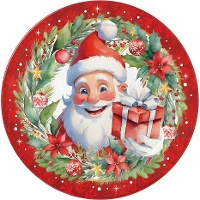 Piatti di Babbo Natale da 23 cm - 6 pezzi