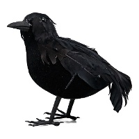 Corvo di 16 cm nero