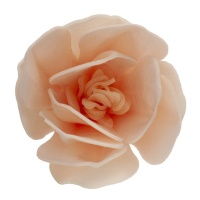 Cialde magnolia rosa chiaro da 6,5 cm - Dekora - 6 unità