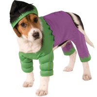 Costume da Hulk per animali domestici