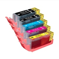 Pack cartucce di inchiostro commestibile PGI-570/571 - Pastkolor - 5 unità