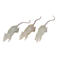Ratti fosforescenti 7 cm - 3 pz.