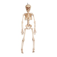 Figura scheletro con luce appeso - 41 cm