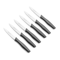 Set di 6 coltelli con lama da 10 cm Nova - Arcos