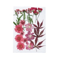 Fiori secchi pressati Mix Rosso - Artemio - 12 pz.